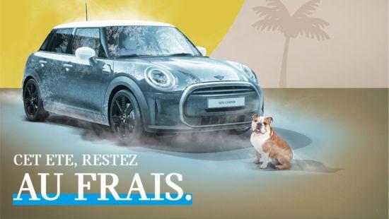 Cet été, roulez au frais en MINI